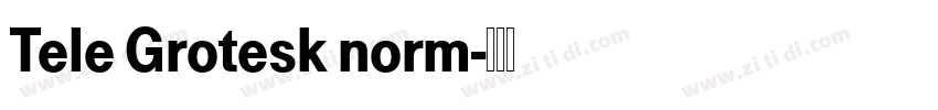 Tele Grotesk norm字体转换